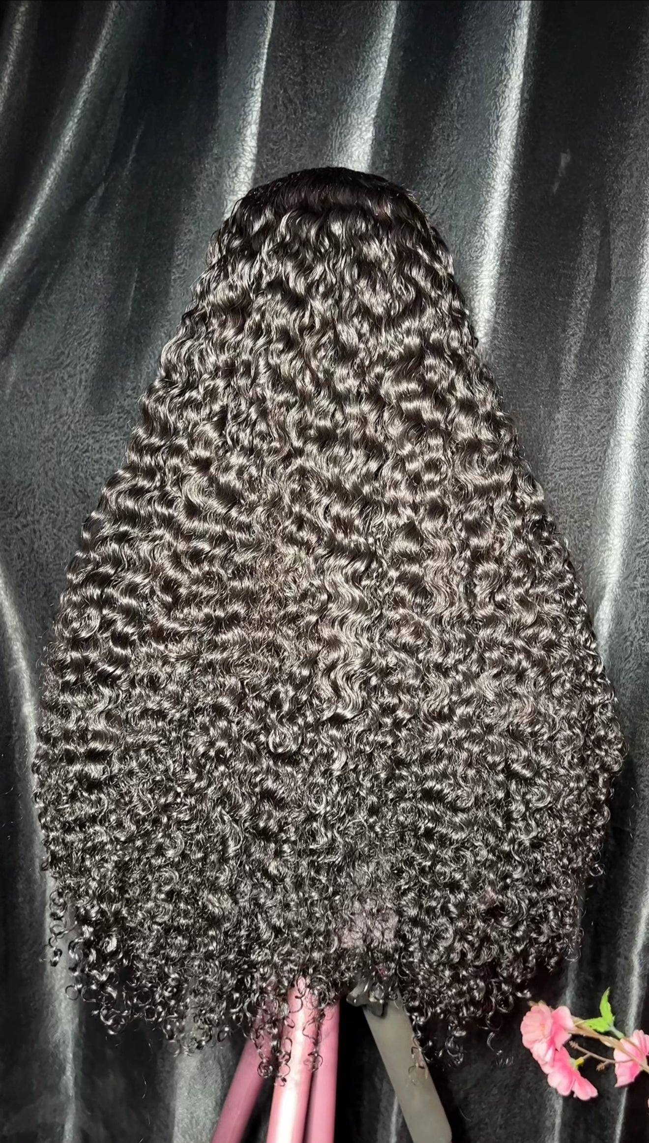 SDD donor Burmese curls